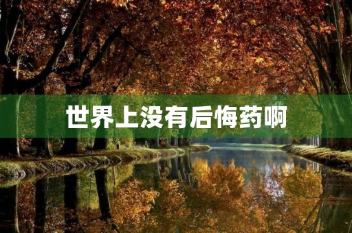 世界上没有后悔药啊 世界上没有后悔药啊