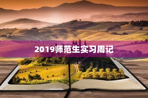 2019师范生实习周记