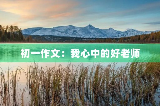 初一作文:我心中的好老师 初一作文:我心中的好老师