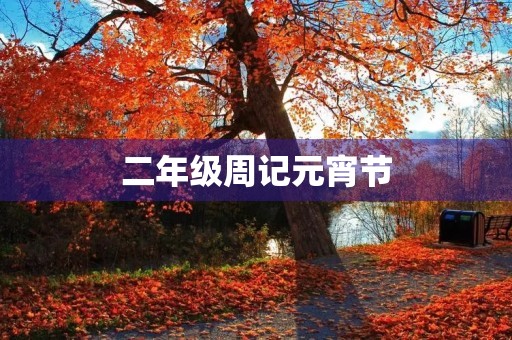 二年级周记元宵节 二年级周记元宵节