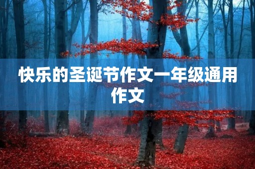 快乐的圣诞节作文一年级通用作文