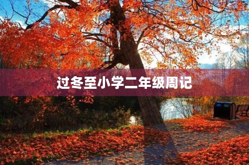 过冬至小学二年级周记 过冬至小学二年级周记