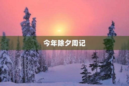 今年除夕周记