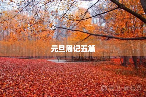 元旦周记五篇 元旦周记五篇