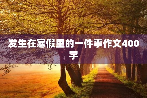 发生在寒假里的一件事作文400字