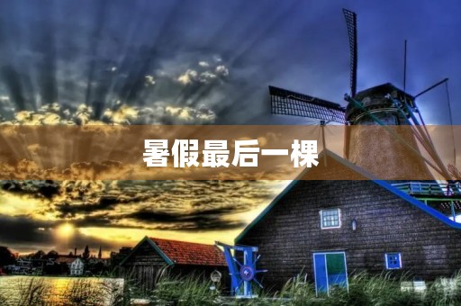 暑假最后一棵
