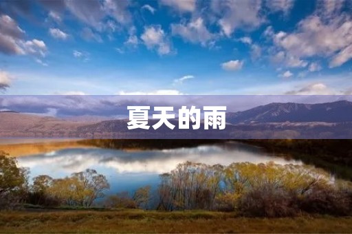 夏天的雨 夏天的雨