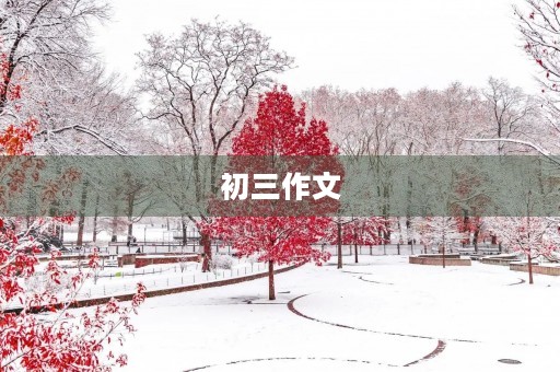 初三作文