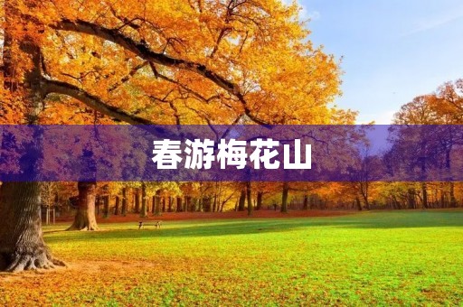 春游梅花山 春游梅花山