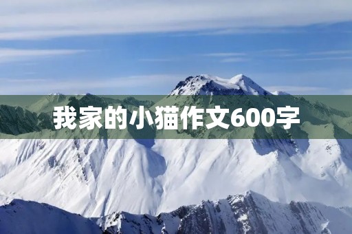 我家的小猫作文600字