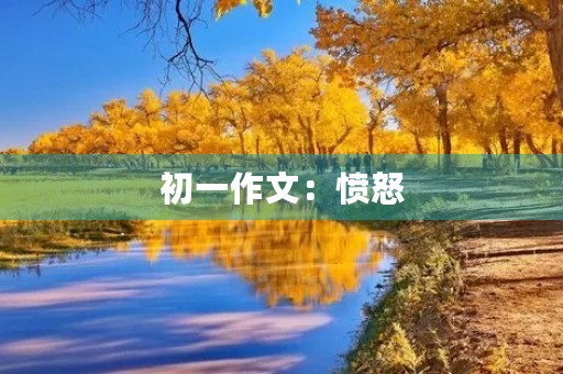 初一作文:愤怒 初一作文:愤怒