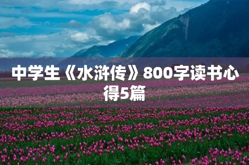 中学生《水浒传》800字读书心得5篇