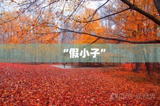 “假小子”