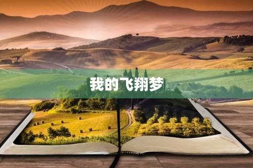 我的飞翔梦