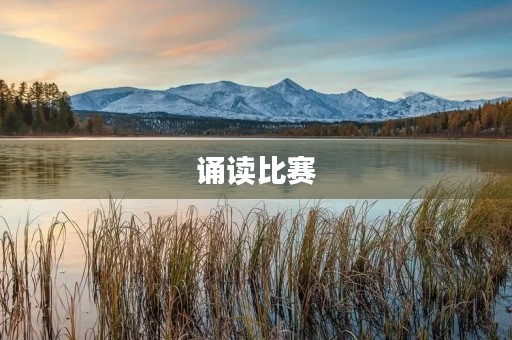 诵读比赛 诵读比赛