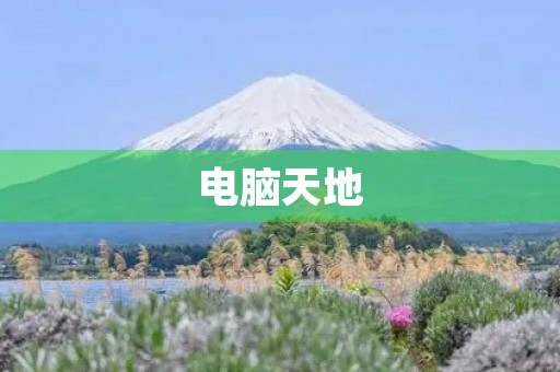 电脑天地 电脑天地