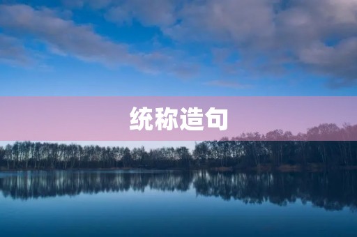统称造句