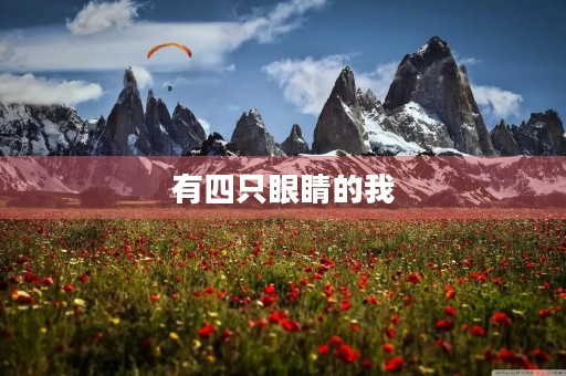 有四只眼睛的我 有四只眼睛的我
