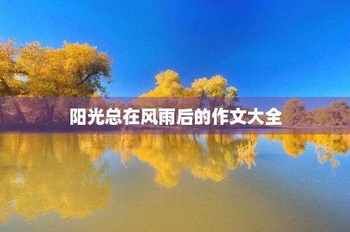 阳光总在风雨后的作文大全