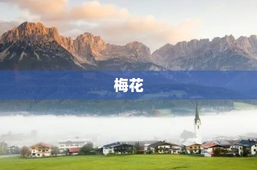 梅花 梅花