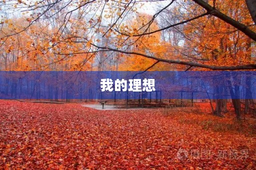 我的理想