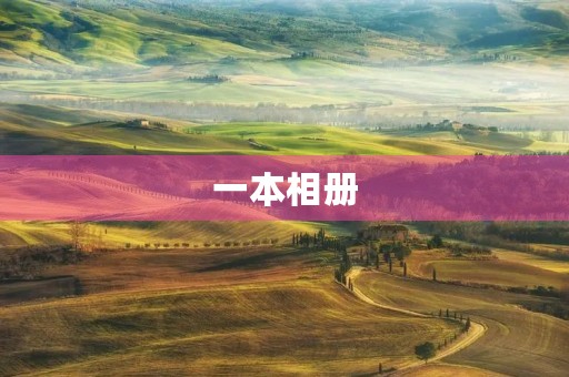 一本相册 一本相册