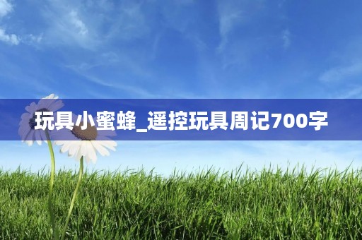 玩具小蜜蜂_遥控玩具周记700字 玩具小蜜蜂_遥控玩具周记700字