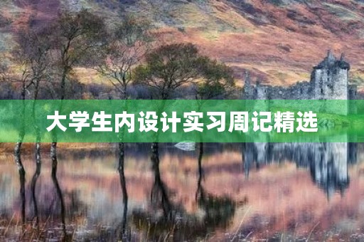 大学生内设计实习周记精选 大学生内设计实习周记精选