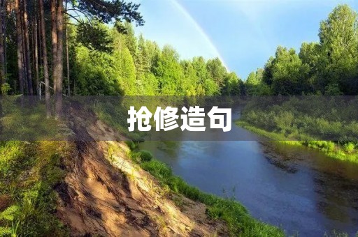 抢修造句