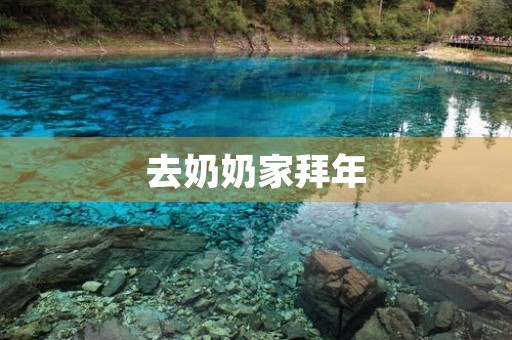 去奶奶家拜年