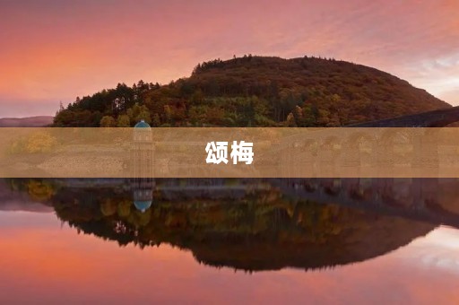 颂梅 颂梅
