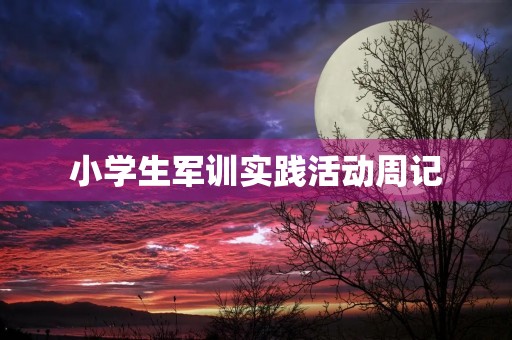 小学生军训实践活动周记 小学生军训实践活动周记