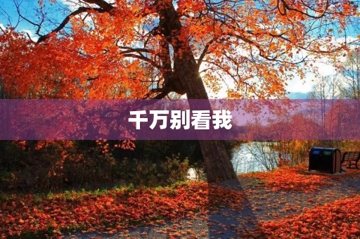 千万别看我 千万别看我