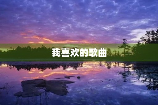 我喜欢的歌曲