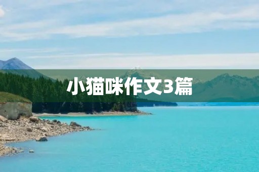 小猫咪作文3篇