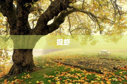 捉虾 捉虾