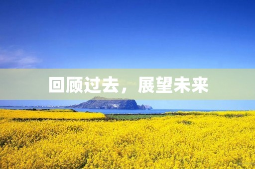 回顾过去，展望未来