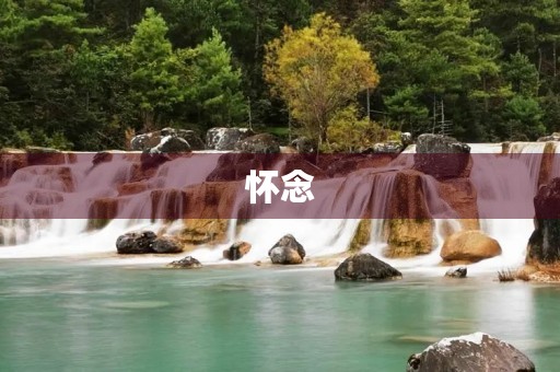怀念