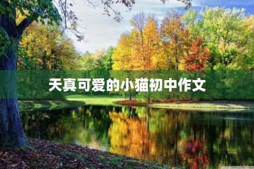 天真可爱的小猫初中作文 天真可爱的小猫初中作文