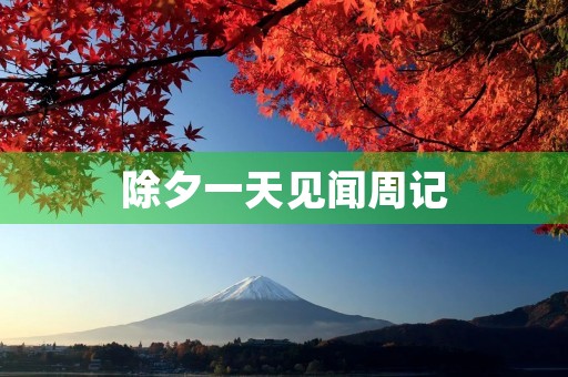 除夕一天见闻周记
