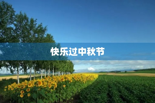 快乐过中秋节