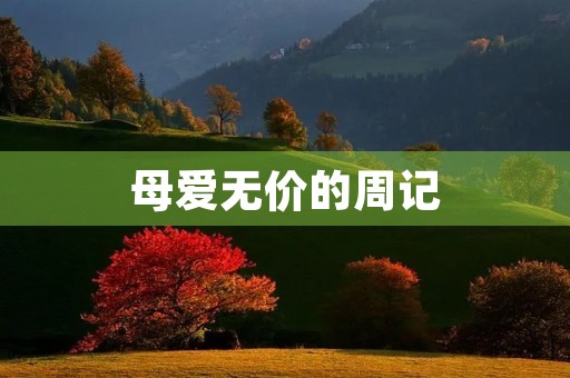 母爱无价的周记 母爱无价的周记