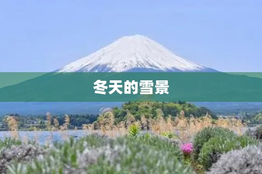 冬天的雪景