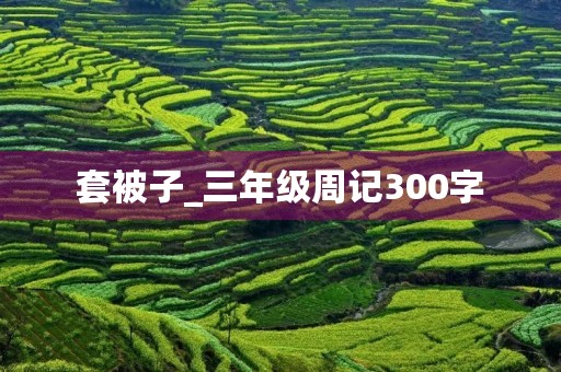 套被子_三年级周记300字