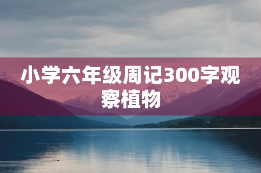 小学六年级周记300字观察植物
