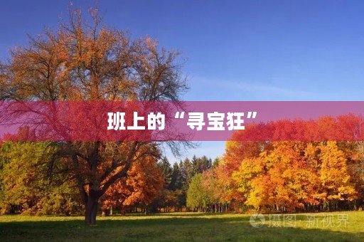 班上的“寻宝狂” 班上的“寻宝狂”