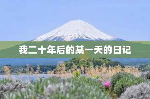 我二十年后的某一天的日记 我二十年后的某一天的日记