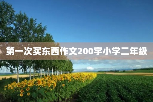第一次买东西作文200字小学二年级 第一次买东西作文200字小学二年级