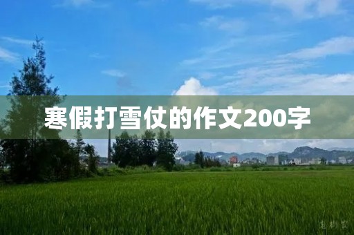 寒假打雪仗的作文200字 寒假打雪仗的作文200字