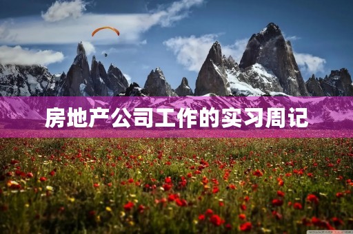 房地产公司工作的实习周记 房地产公司工作的实习周记